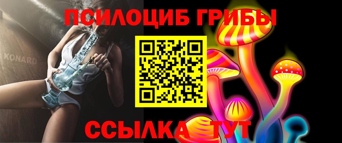 Галлюциногенные грибы мухоморы  Вход с VPN  Железноводск 